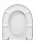 Kopia Dustark bottom.jpg